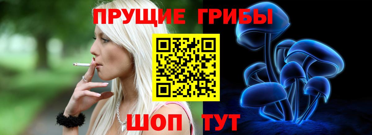 Галлюциногенные грибы Psilocybine cubensis Коряжма